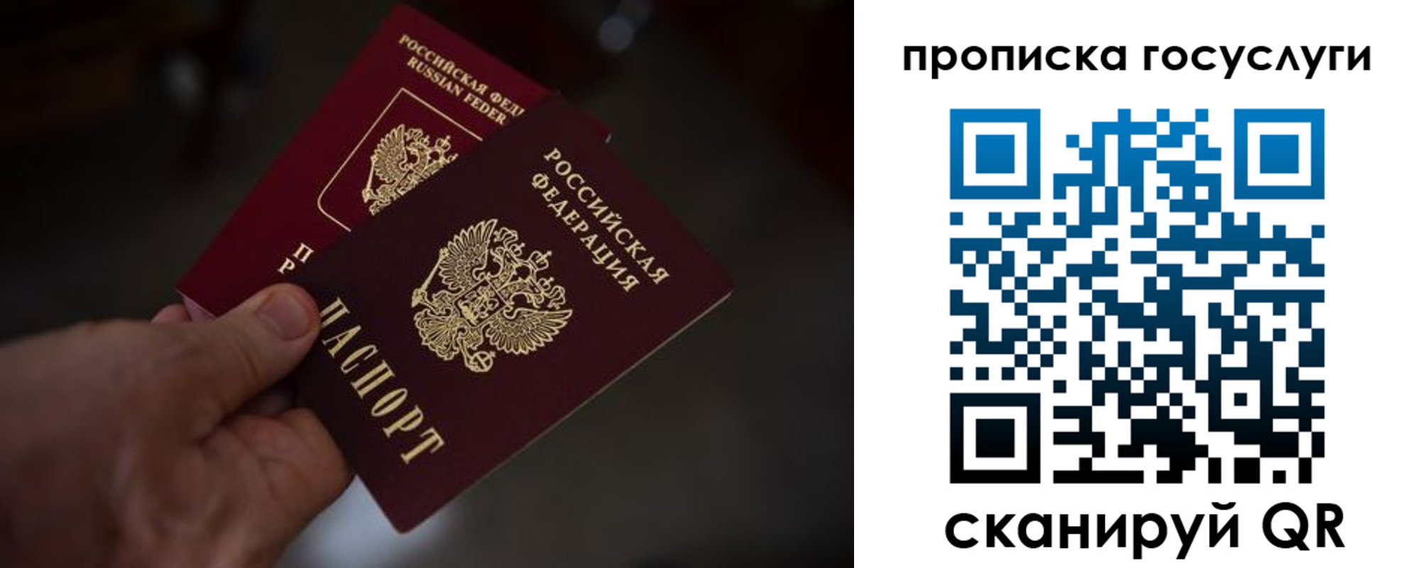 прописка ребенка в Кондопоге